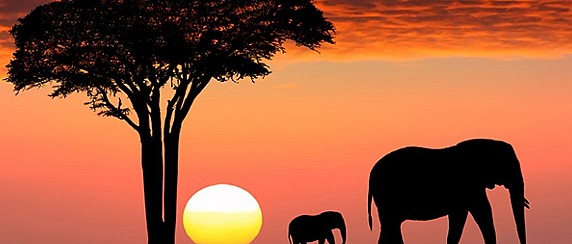 “Africa – Sognando una Nuova Aurora.  Guerre invisibili e segni di Speranza e di Pace"