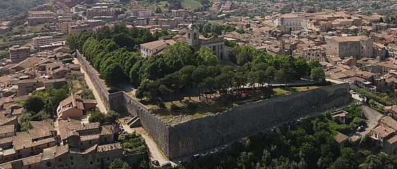 Immagine non trovata