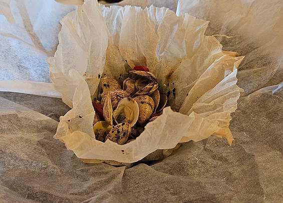 Immagine non trovata