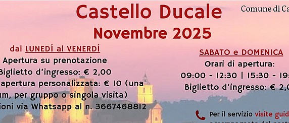 Immagine non trovata