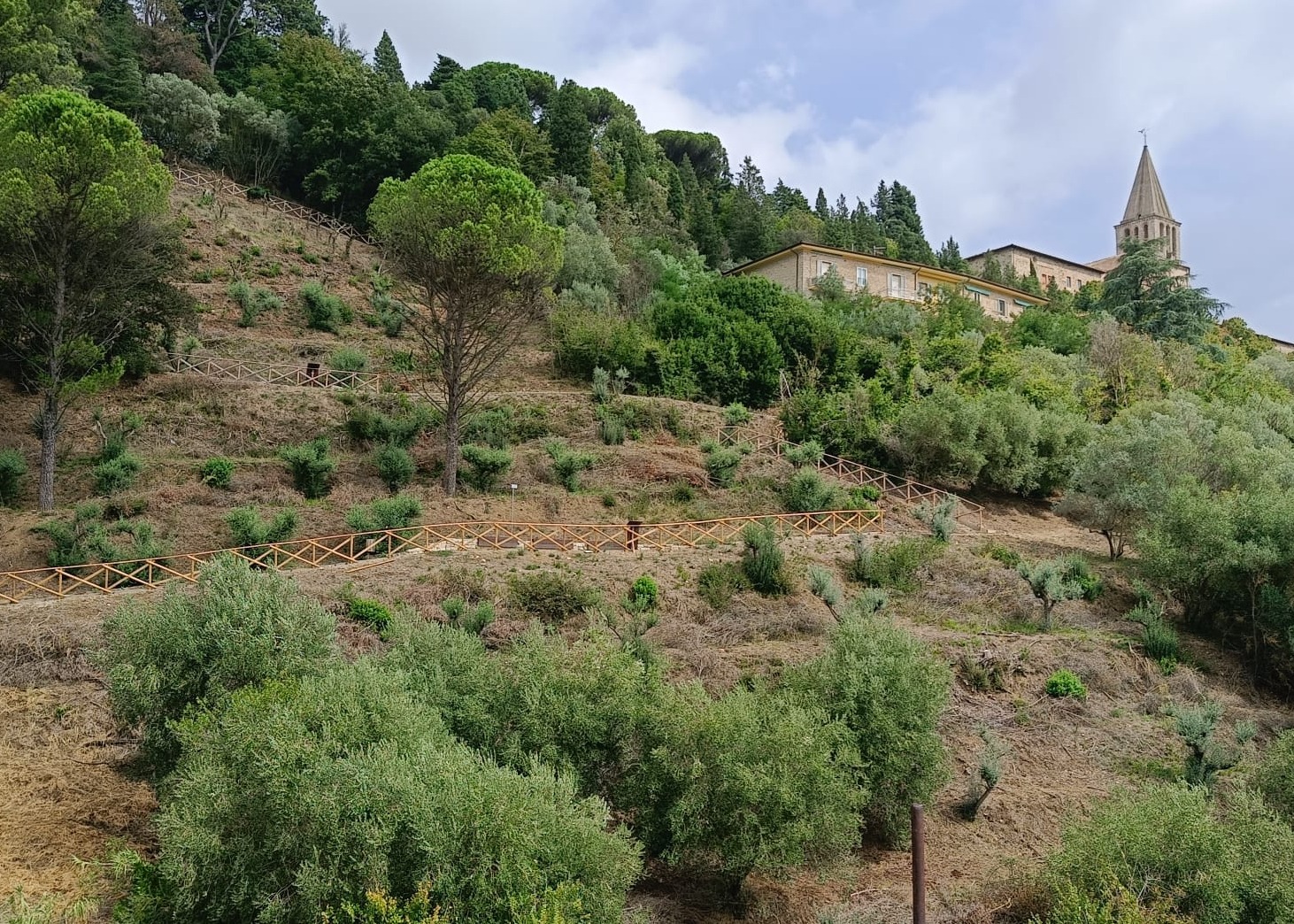 “SAN FRANCESCO E JACOPONE SUI SENTIERI DEL CANTICO” - Percorso artistico e spirituale nel Parco degli Ulivi della Consolazione – Todi (PG)