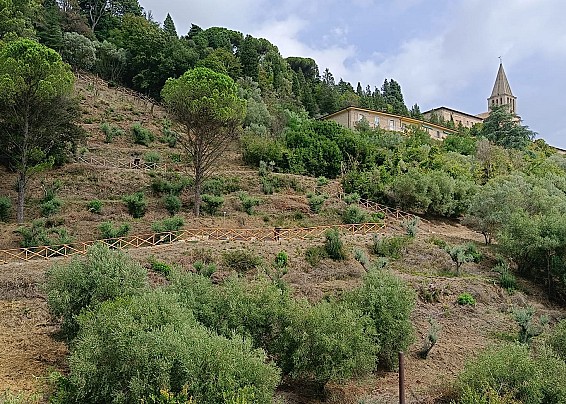 “SAN FRANCESCO E JACOPONE SUI SENTIERI DEL CANTICO” - Percorso artistico e spirituale nel Parco degli Ulivi della Consolazione – Todi (PG)