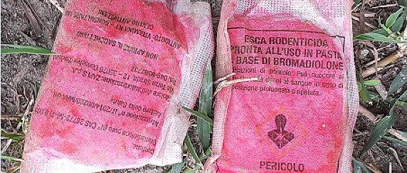 ESCHE AVVELENATE PER TOPI, ATTENZIONE A NON CAUSARE INTOSSICAZIONE AD ALTRI ANIMALI (DOMESTICI O SELVATICI)