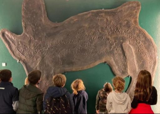 CHIUSURA MUSEO DEI FOSSILI PER LAVORI DI AMPLIAMENTO ESPOSIZIONE