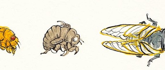 Immagine non trovata