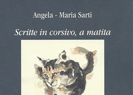 Immagine non trovata