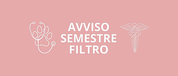 Integrazioni ai bandi per l’a.a. 2025/2026 a favore degli studenti del semestre filtro, in attuazione del Decreto MUR n. 447/2025