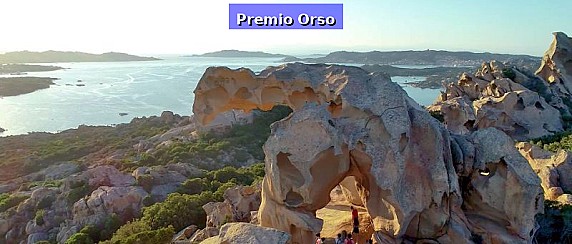 Nasce il “Premio Orso”: approvato il regolamento