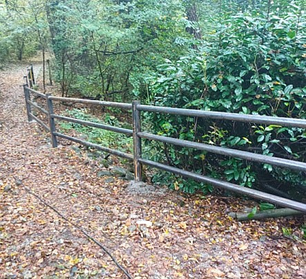 WhatsApp Image 2025-11-12 at 09.43.58