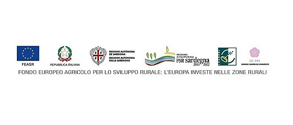 Gal Barbagia Mandrolisai Gennargentu - Programma di Sviluppo Rurale Sardegna 2014-2022. Intervento 19.2.7.4.4.1.1 Sostegno ai servizi di base a livello locale per la popolazione rurale. CUP:J14D25005080006