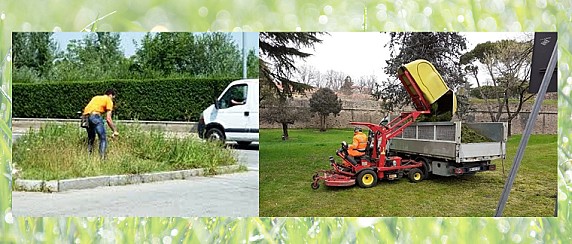 Manifestazione di interesse