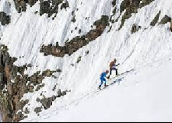 Immagine non trovata