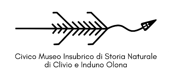 Civico Museo Insubrico di Storia Naturale di Clivio e Induno Olona e Visitor Center Monte San Giorgio UNESCO