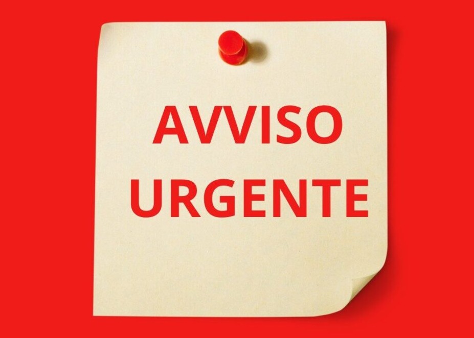 BORSA DI STUDIO REGIONALE E BUONO LIBRI 2025/2026