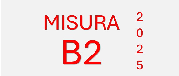 Fondo non autosufficienze - Misura B2