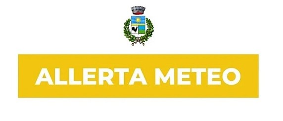 Avviso di condizioni meteorologiche avverse Neve