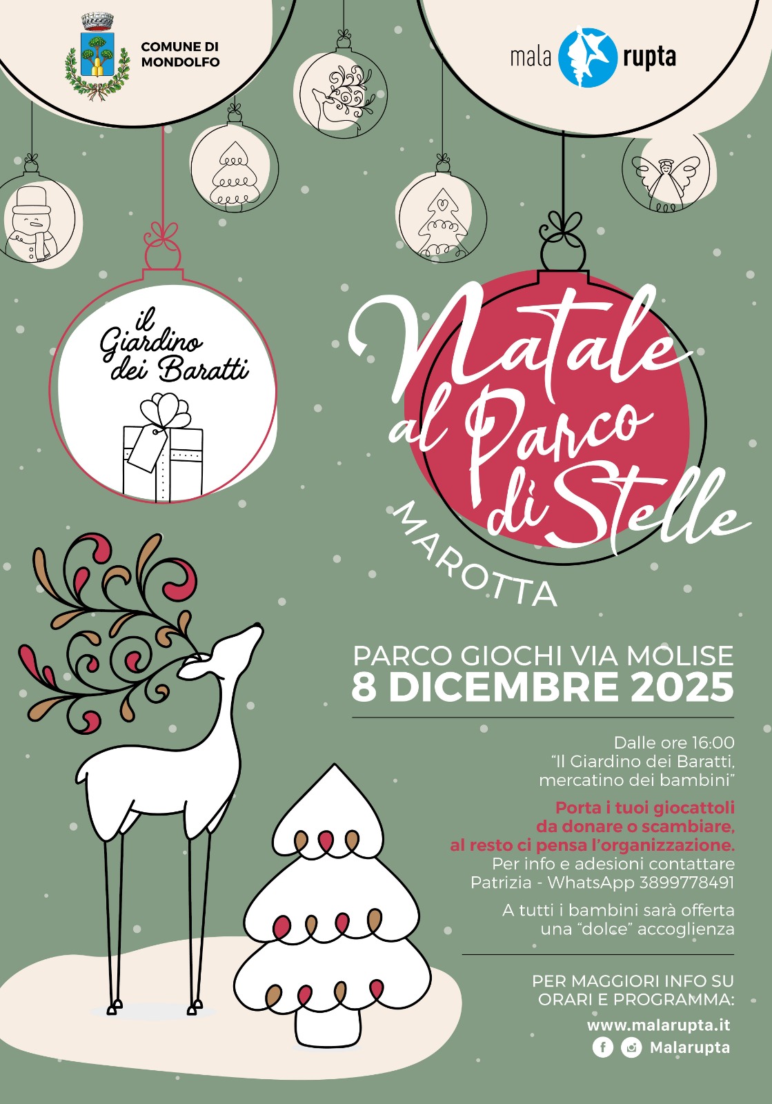 Natale al parco di stelle(6)