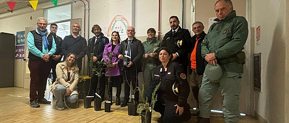 A Uta l’albero di Falcone
