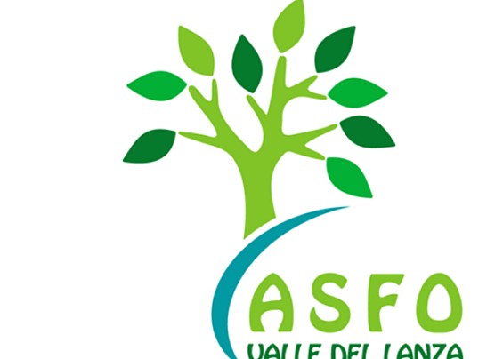 Rinnoovare il bosco, come e perchè