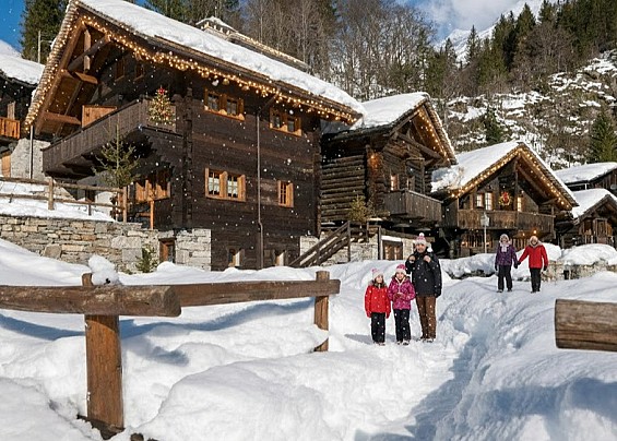 Immagine non trovata