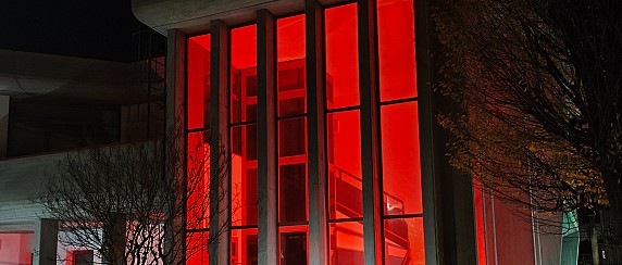 25 novembre giornata internazionale per l'eliminazione della violenza  contro le donne