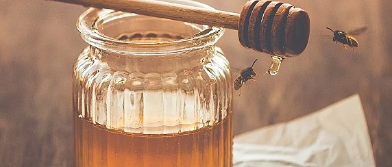 Bimbi all'Opera, laboratorio "Luminaria Apis"