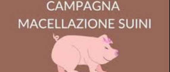 AVVISO ALLA CITTADINANZA MACELLAZIONE A DOMICILIO SUINI -OVINI CAPRINI ANNO 2025/2026