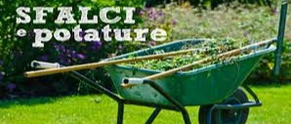 CONFERIMENTO DI SFALCI e/o POTATURE EER 200201 DA PARTE DI UTENZE DOMESTICHE E NON DOMESTICHE ISCRITTE A RUOLO TARI