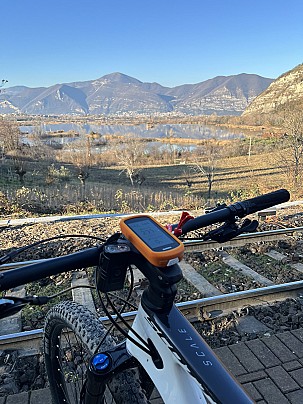 pr_torbieredelsebino