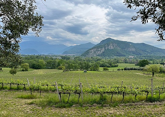 Immagine non trovata