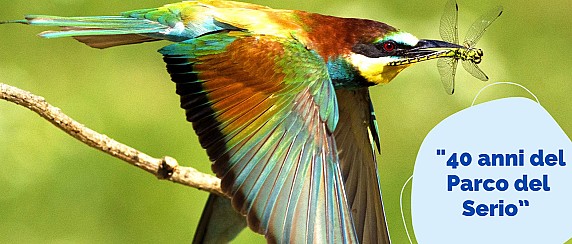 Premiazioni del concorso fotografico "Emozioni sul Serio"