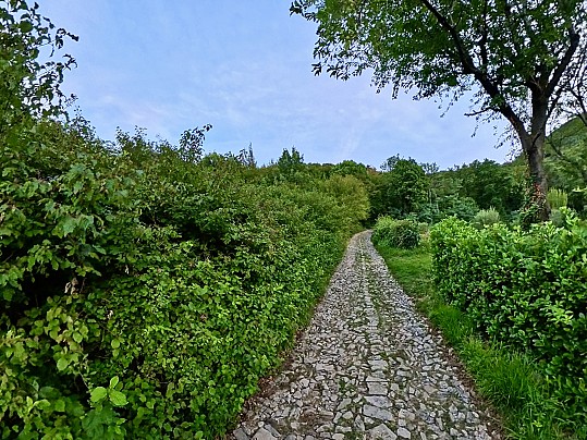 Tratto latricato in salita