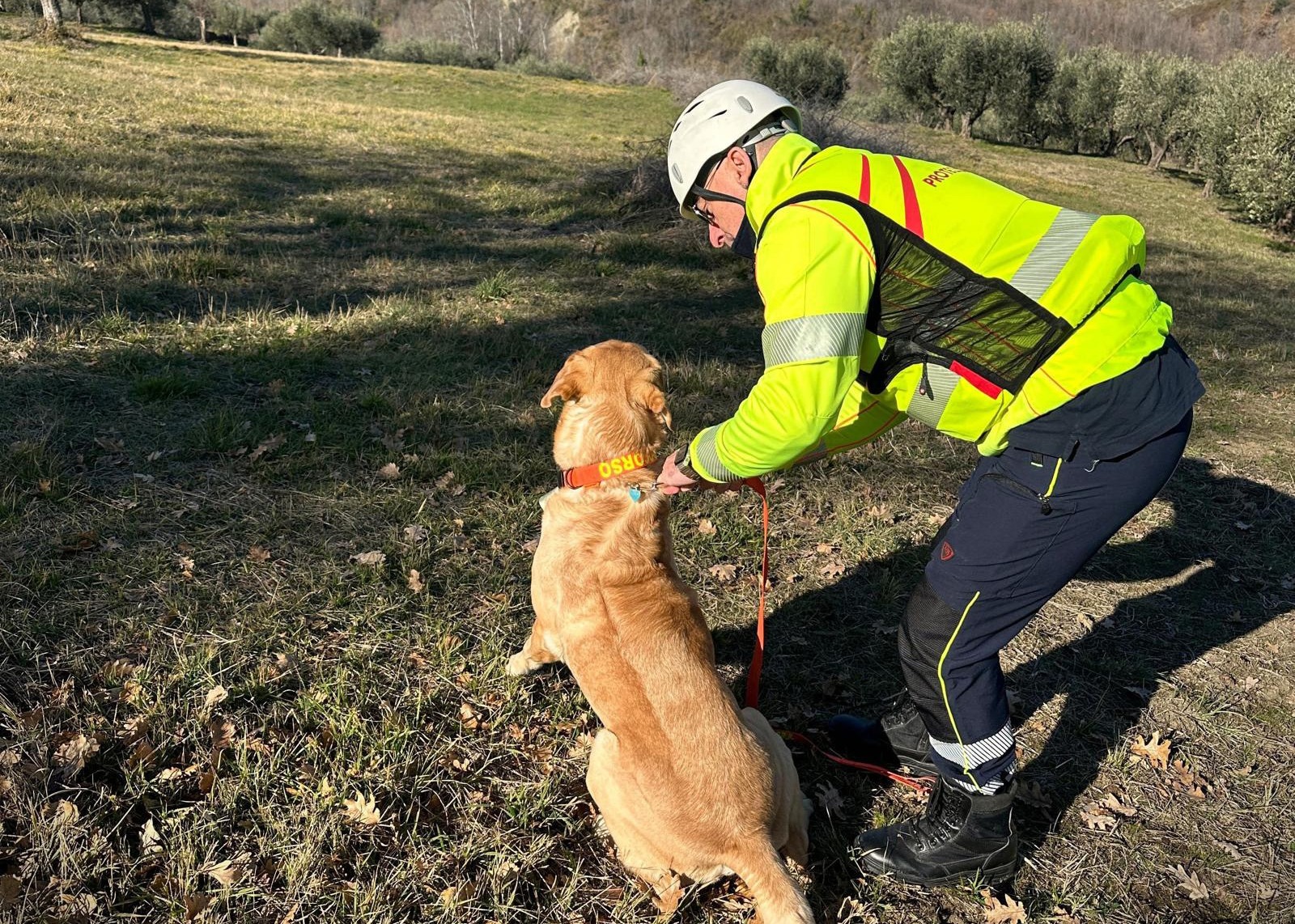 Attenzione #Cepagatti! Preparazione al massimo livello per i "Volonta'Ri del Futuro"