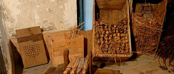 Visita guidata teatralizzata