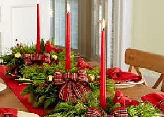 Immagine non trovata