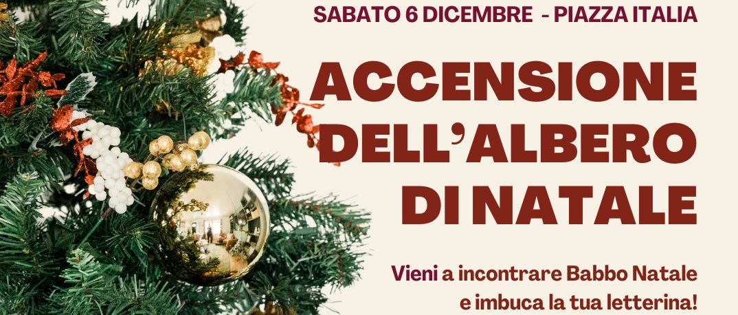 Accensione dell'Albero di Natale