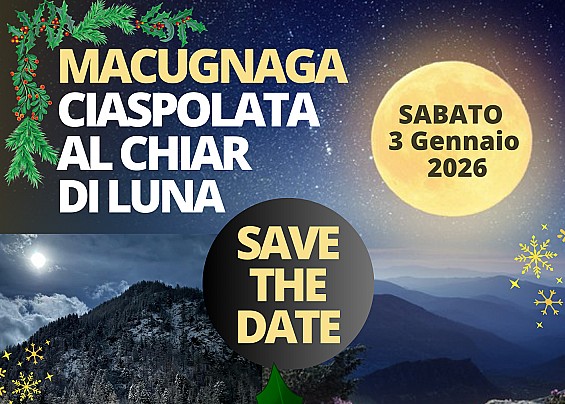 Immagine non trovata