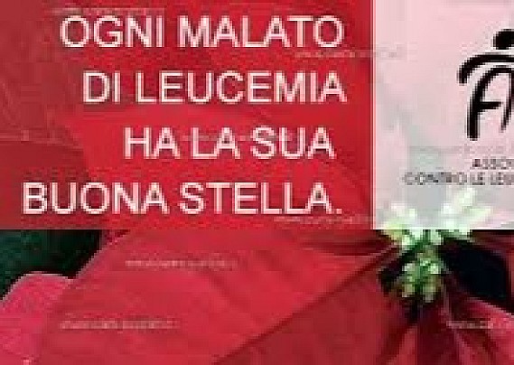 COMERIO 6-7 DICEMBRE 2025