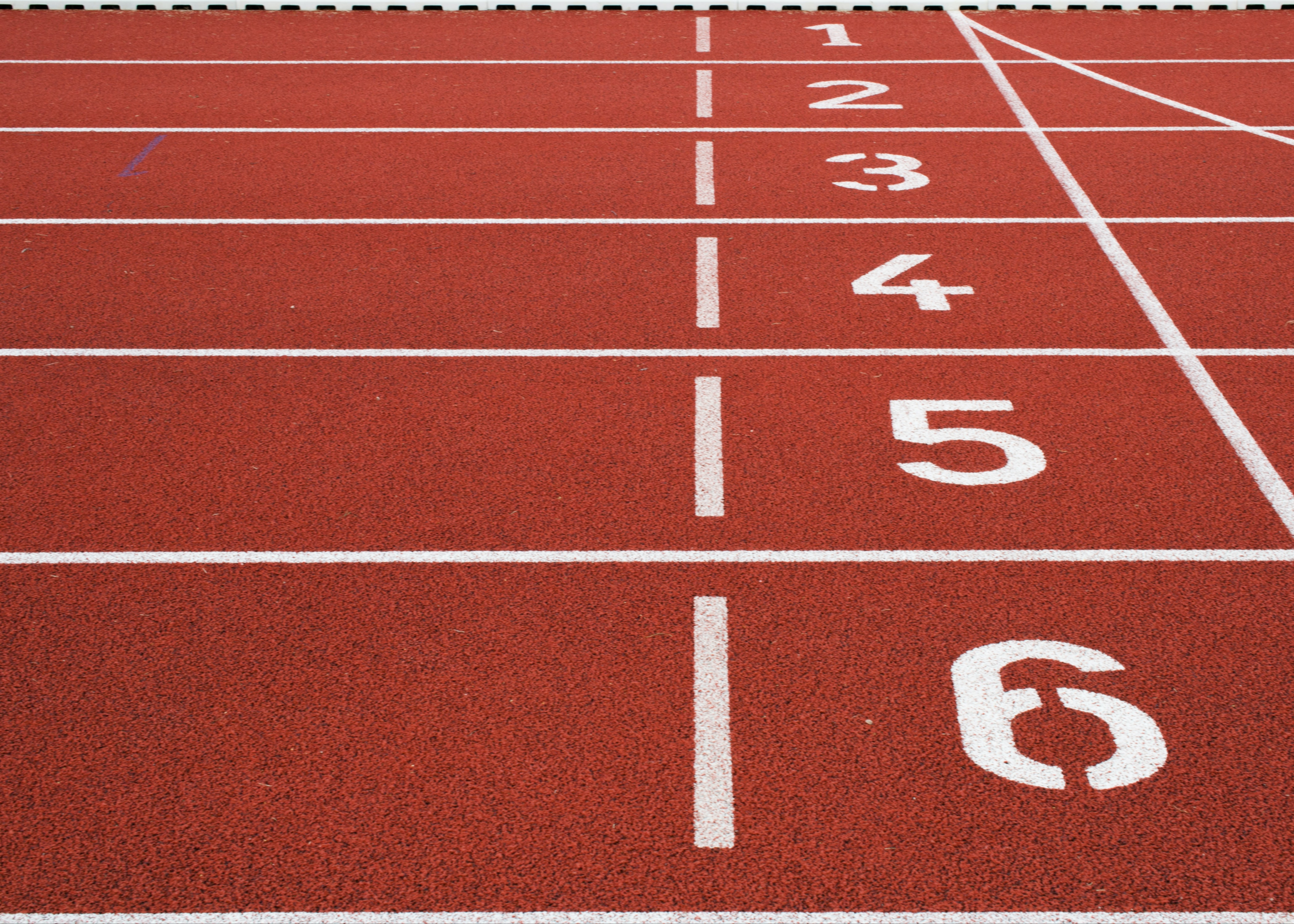 PRESENTAZIONE DOMANDE DI CONTRIBUTO PER LA PROMOZIONE E DIFFUSIONE DELLO SPORT  ANNO 2025