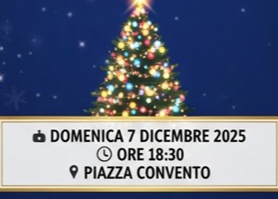 ACCENSIONE ALBERO DI NATALE