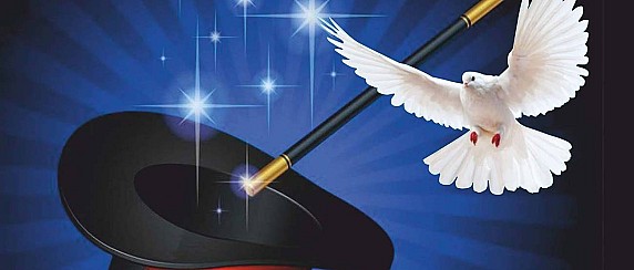 Immagine non trovata