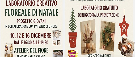 Immagine non trovata