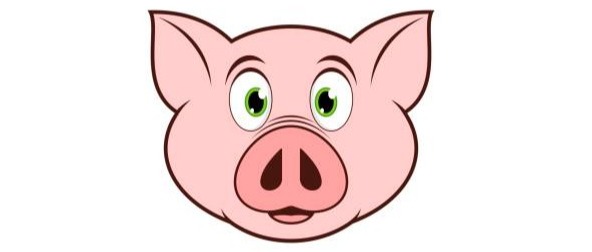 Macellazione suini per uso familiare stagione 2025/2026