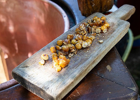 Immagine non trovata