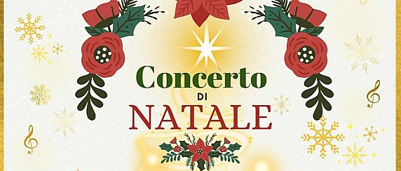 Immagine non trovata