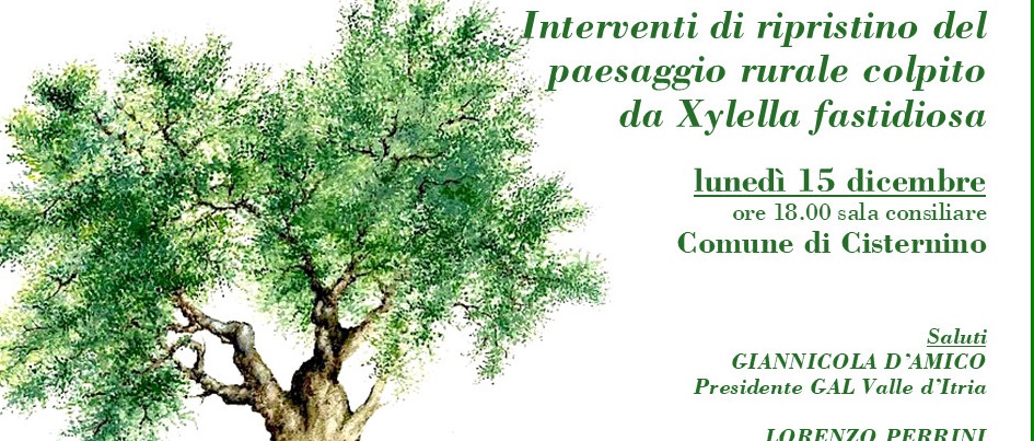 Presentazione del bando "Interventi di ripristino del paesaggio rurale colpito da Xylella fastidiosa"