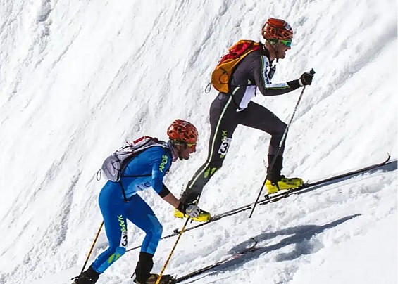 Immagine non trovata