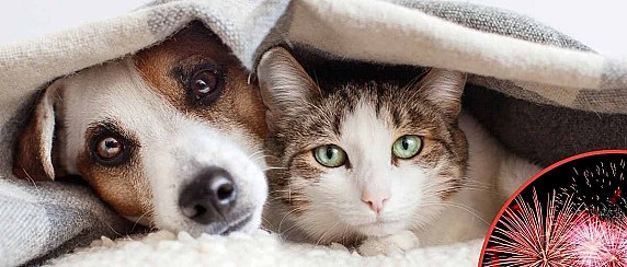 Invito ai cittadini ad uso consapevole artifici pirotecnici