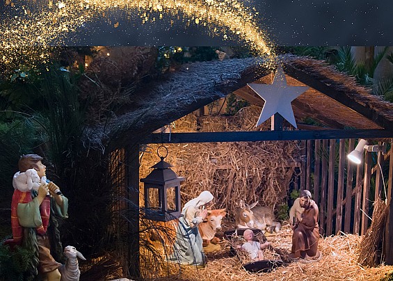 Immagine non trovata