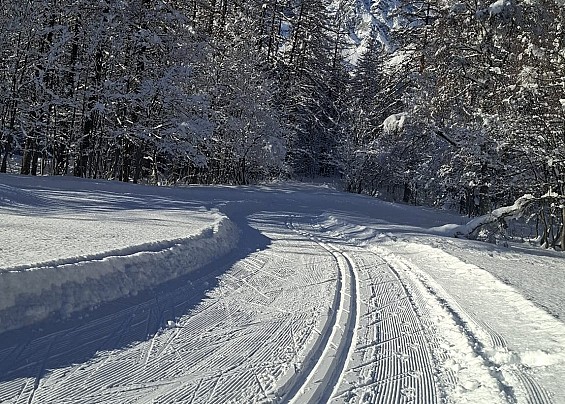 Immagine non trovata